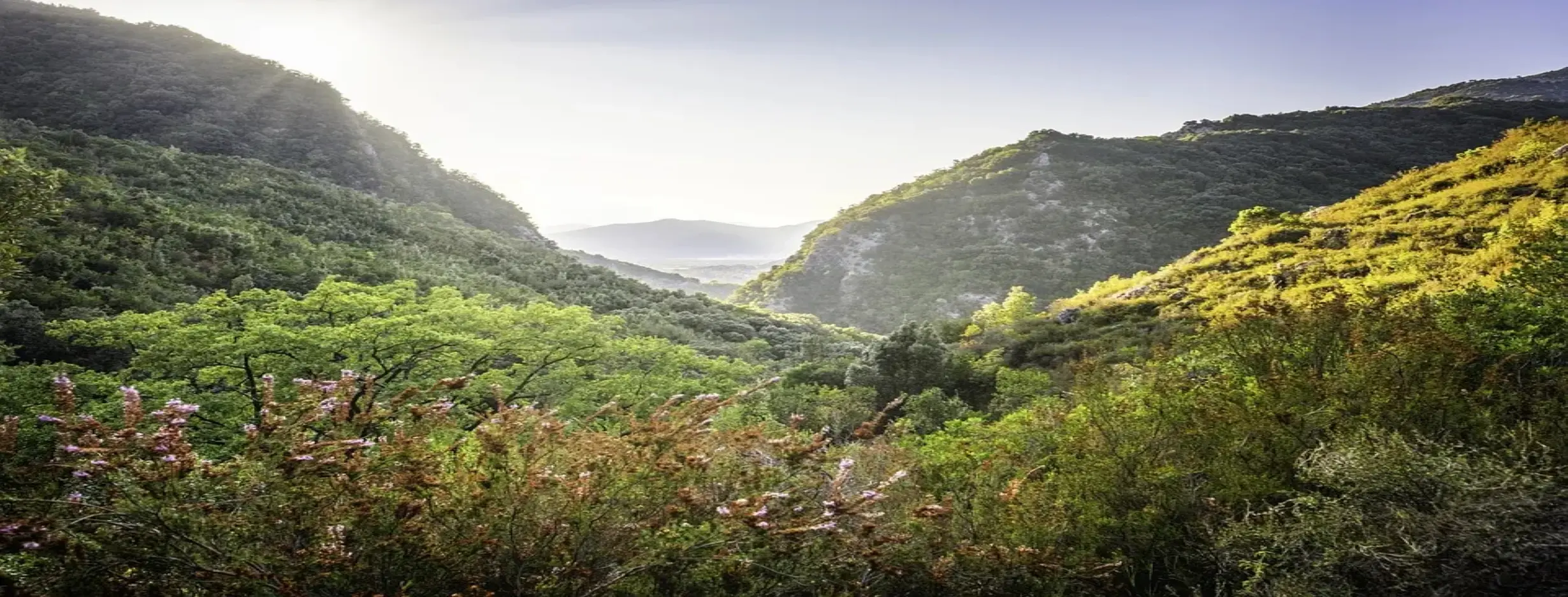 Image for Hike in Ajloun Forest Reserve